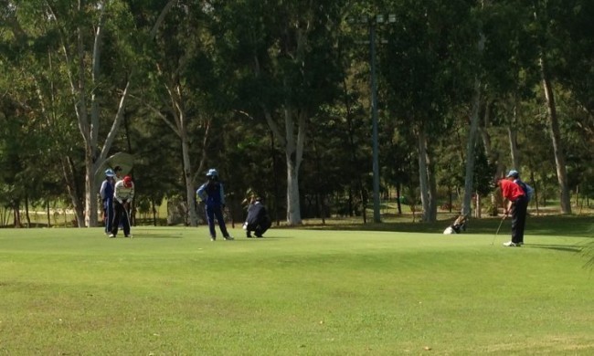 Ko’plab golf klublaridan biri