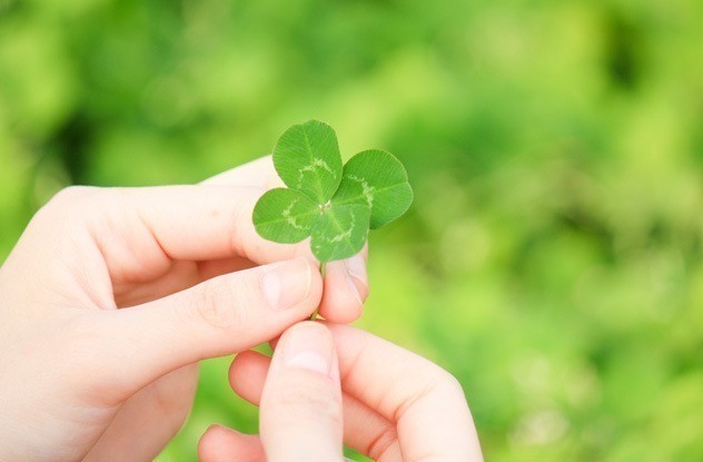 5. Irimlar insoniyatga yordam beradi