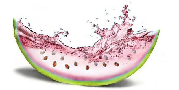 Tarvuz asosan suvdan iborat