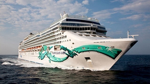 Norwegian Jade layneri