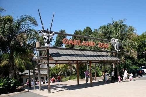 20. O’klend zooparki (Oakland Zoo)