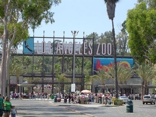 19. Los-Andjeles zooparki (Los Angeles Zoo)