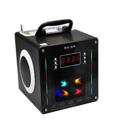 17.	Portativ dinamik.