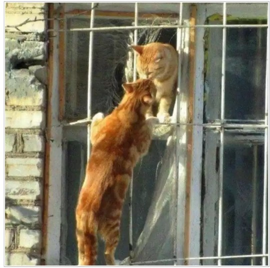 18. "Agarda Romeo va Djulyetta mushik bo'lganlarida..."