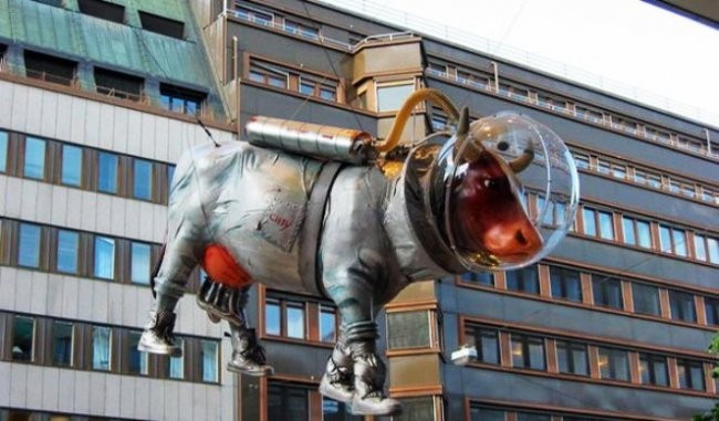 Skafandrdagi sigir, Stokgolm.