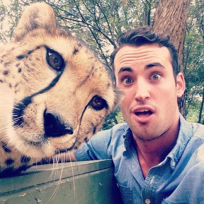 Gepard bilan selfi