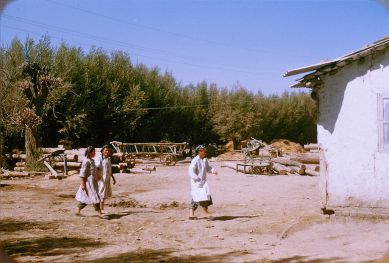 O'zbek ayollari