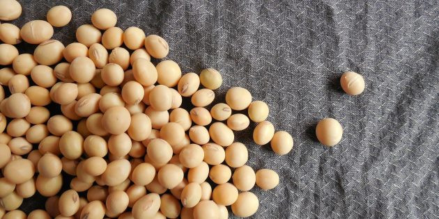 10.Soya