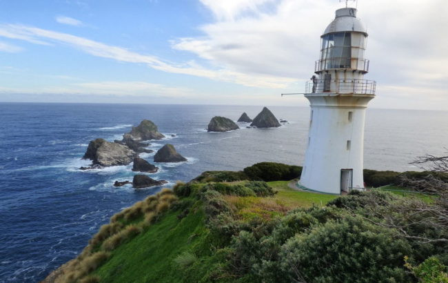 Matsayker oroli, Tasmaniya