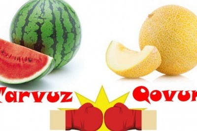 O'ylanmasdan javob bering: tarvuz yoki qovun?