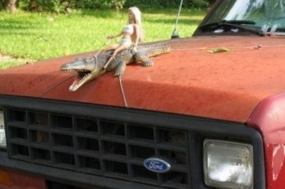 Bu avtomobillar egalari mashinalarini bezatmoxchi edi. Kulgili chiqi!