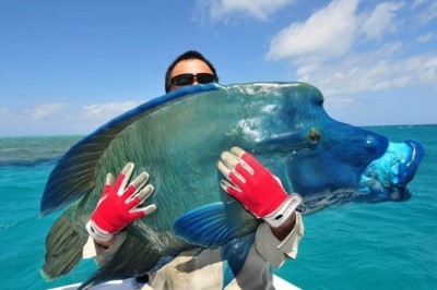 Eplasang tutib ol: noodatiy baliq ovi uchun 10ta joy