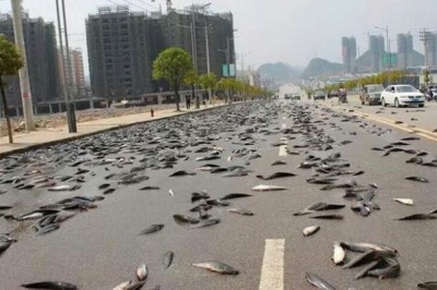 Odamzot tarixidagi 12 eng noyob yomg’irlar