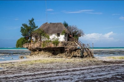 10 oy oldin joy buyurtma qilib qo’yiladigan ekzotik restoran 