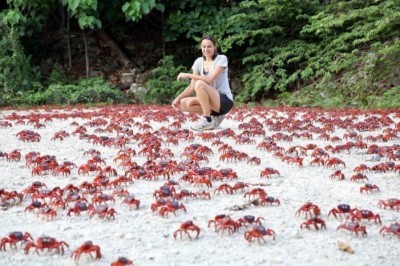 Ishonish qiyin bo’gan tabiatni 20 ta hodisasi