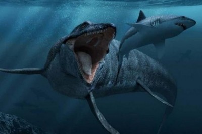  Yer sayyoramizda mavjud bo'lgan gigant-hayvonlar