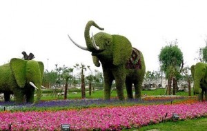 Xitoydagi gullardan yasalgan ajoyib hayvonlar