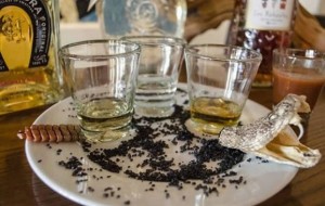 Barcha kasblar muhim: butun dunyodan 8ta eng g’alati degustatorlar 