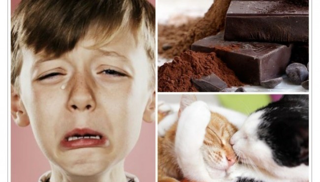 Baxt kafolatlangan: o'z kayfiyatini ko'tarish va hattoki qiyin kunda ham bardam bo'lib olishning 7 ta ilmiy tasdiqlangan yo'llari