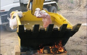 Ilojsiz narsaning o'zi yo'q - ozgina boshni qotirsangiz, bas - g'o'radan halvo bitur