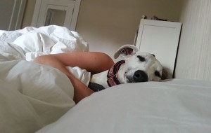 Qiziqarli fotolar: Ertalab uyg’onsam – ko’zim oldida mana bu …