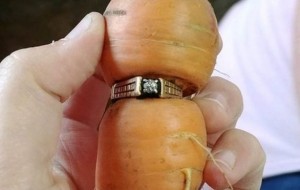 Qiziqarli dunyo: 13 yil avval y’oqotilgan brilliant ko’zli nikoh uzugi tomorqadagi sabzining tanasidan chiqib keldi