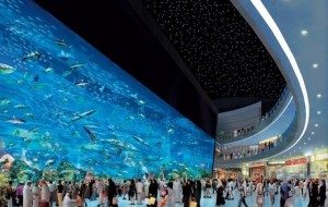 Qiziqarli dunyo: Dunyodagi eng yirik akvariumlar