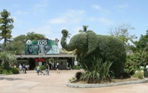 Top-25: Siz tashrif buyurishni istaydigan, dunyoni yirik zooparklari