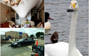 Qiziqarli fotolar: Kun haqiqatdan omadsiz kelganini ko’rsatuvchi fotolar