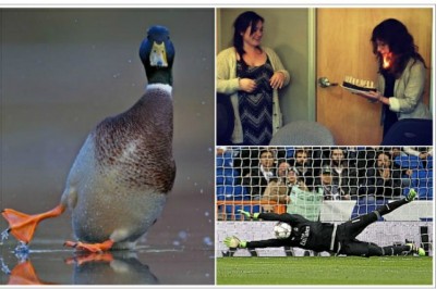 Xazil: Behosdan, kerakli onda olishga ulgurgan 19 ta o'ta kulguli kadrlar