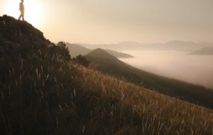 Qiziqarli fotolar: Tigirek qo’riqxonasiga bag’ishlangan yopiq ko’rgazmadan eksklyuziv fotosuratlar