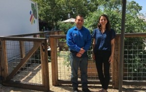 Google kompaniyasi o’z xodimlari uchun oziq ovqat etishtirmoqda