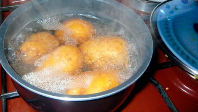 Bekajonlarga kartoshkani ishlatishda zarur bo'ladigan tavsiyalar