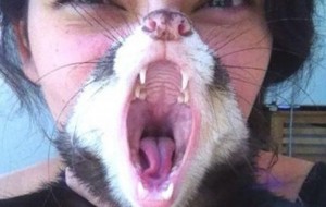 Kerakli payt olingan va chegara ortidan chiqgan sur'atlar  