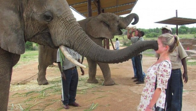 Sayohat paytida nimadirlar o'xshamay qolgani haqida 22ta fotosuratlar
