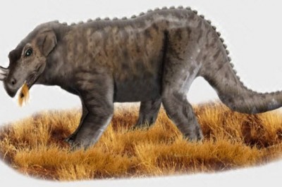 Afrikaning afsonaviy maxluqlari