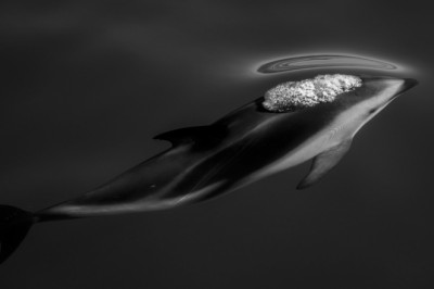 National Geographic ma'lumotlariga ko'ra 26 ta eng yaxshi fotosuratlar.