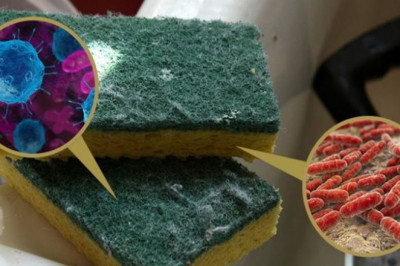 Uyingizdagi eng kir narsa – idish yuvish gubkasi ekan!