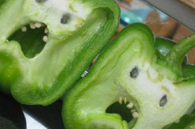 Tabiatning noyob asari. Turli ko’rinishdagi ajoyib va g’aroyib sabzavot va mevalar