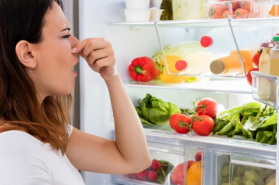 Ro’zg’or maktabi: Muzlatgichdagi noxush hidlarni ketkazish