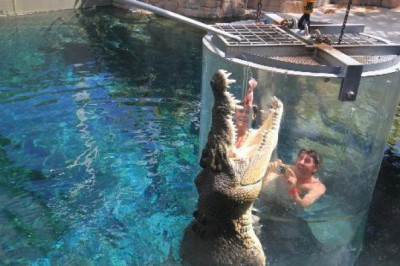 Avstraliyaning diqqatga sazovor ekstremal joyi Crocosaurus Cove