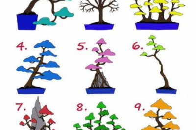 Ajoyib psixologik test