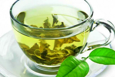 Yoshartiruvchi ozuqa maxsulotlari qaysilar?