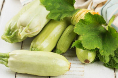 Qovoqcha (kabachok)ning ko’pchilikka no’malum foydali jihatlari