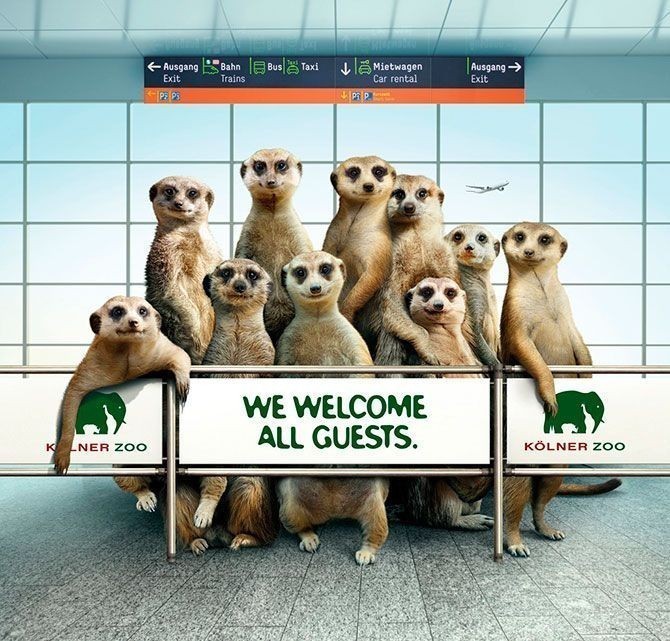 Biz barcha mehmonlarni kutib olishdan mamnunmiz. Zoo Cologne