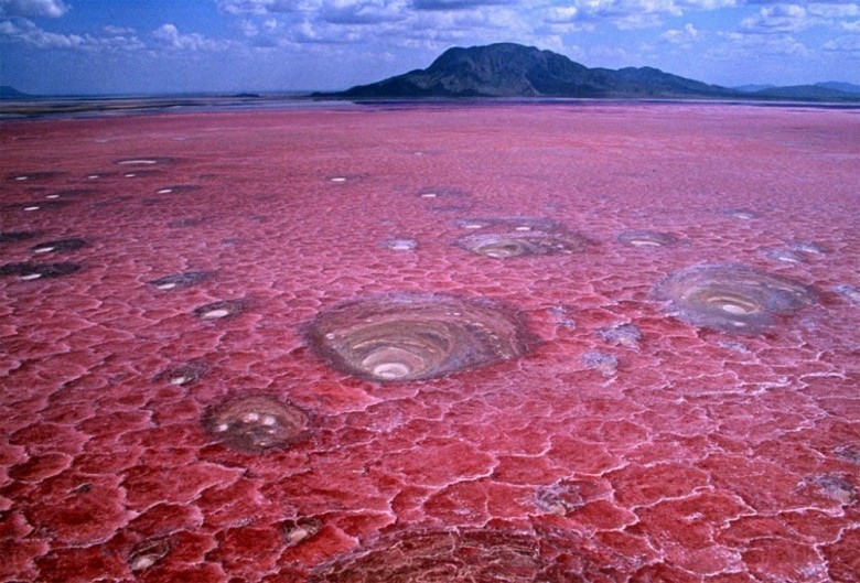 Tanzaniyani Natron ko’li