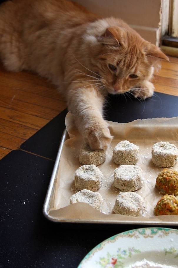 "Men shunchaki to'g'irlab qo'yaman, qarang qanday chiroyli!"