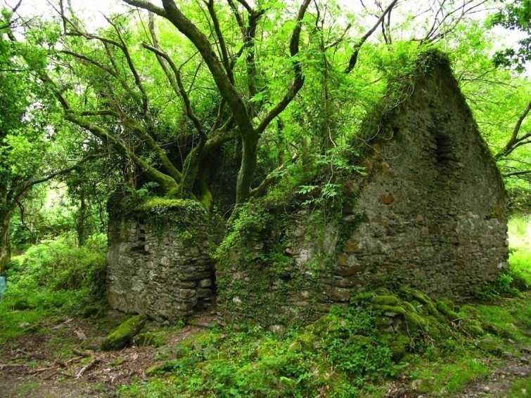 Irlandiyadagi Snim va Kenmare orasidagi yayov yuradigan yo'lchasi