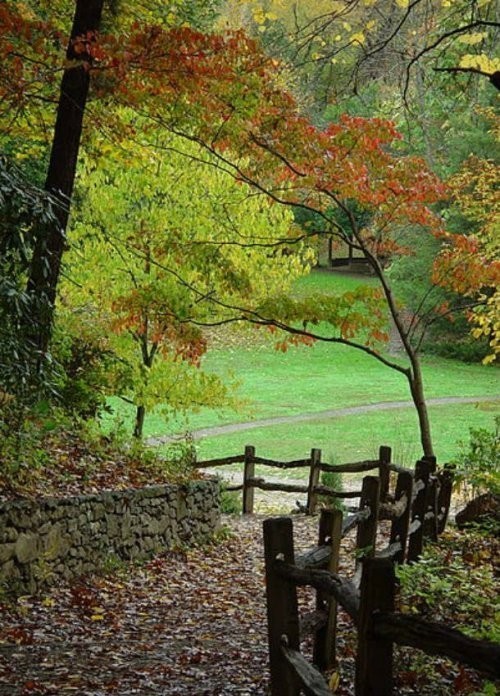 15. Eshvil, Shimoliy Karolina shtati, AQSH
