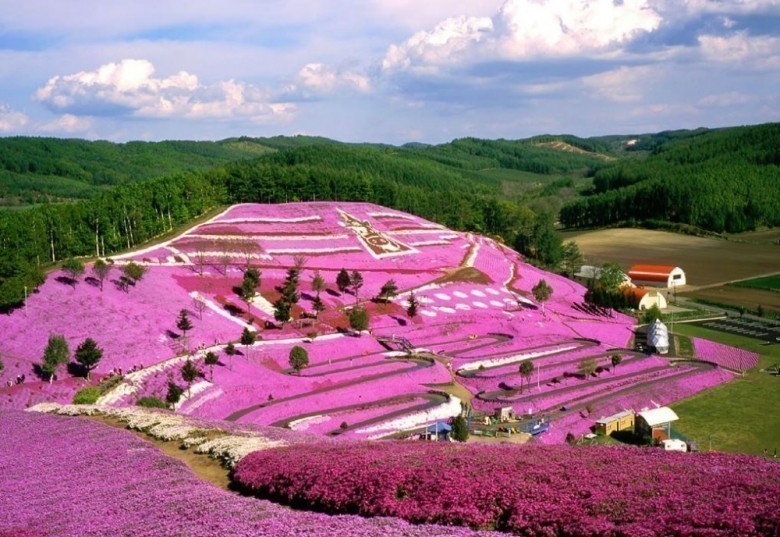 Yaponiya, Tokinoue bog'i
